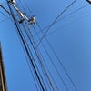 11/8のあさのこえ☆の画像