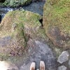 なんでもないけど話してみた(笑)の画像