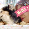 こえだにはキョヒられた(笑)の画像