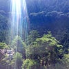 【第十九番】今日の言祝ぎの画像