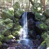 【第四番】今日の言祝ぎの画像