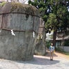 【第十三番】今日の言祝ぎの画像