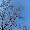 お疲れ様だけいいかな？の画像