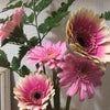 今日いただいたメッセージはなんと！の画像