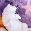 5月9日のこえの画像