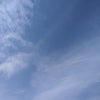 新元号【令和】の画像