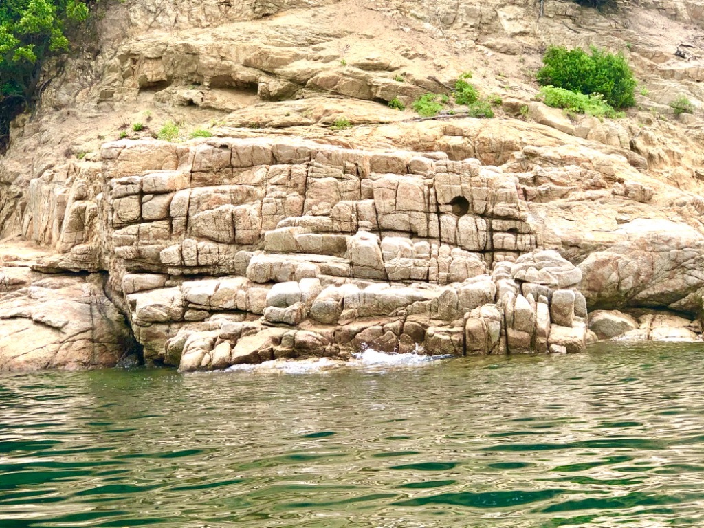 海のお散歩の画像