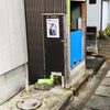 #野良猫（๑╹◡╹๑）ノラちゃんとカラスの画像