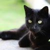 言葉が現実化するということの画像