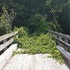 自分の恐怖心と行き止まりを知る大切さの画像