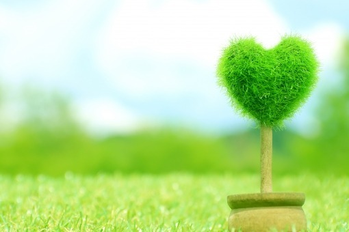 日々おもうことの画像