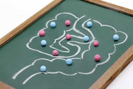 【免疫力】を高めましょう②の画像