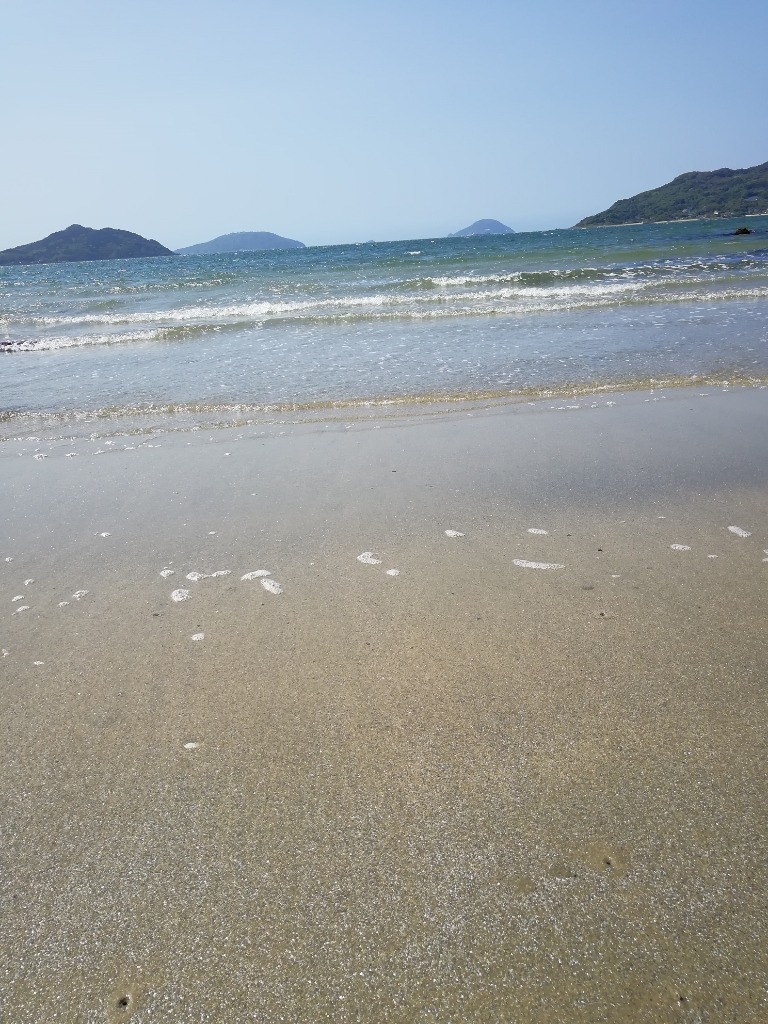 初声のブログの画像