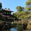 京都地名をやっと覚えてきたけどまだ道案内ができない。の画像