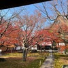 きっと未来に必要だから、今、頭を抱えよう。の画像