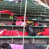 この写真くらいグダグダな話。笑の画像