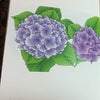 「いのちの花希望のうた」第6章　旗印からの画像