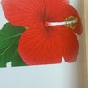 「いのちの花　希望のうた」第六章　旗印からの画像