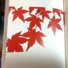 「いのちの花　希望のうた】第二章　ふたり　からの画像
