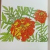 画詩集「いのちの花　希望のうた」第三章　踏みだすからの画像