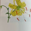 「いのちの花　希望のうた」第6章　乗り越えるというのはの画像