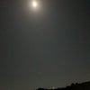 満月の夜♪の画像