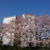 4/6 ともみんのきらめく電波予報の画像