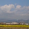 4/18 ともみんのキラめく電波予報♪の画像