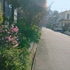 4/2 ともみんのキラめく電波予報♪の画像