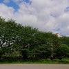 5/7 きらめく電波予報♪抜けないトンネルはないの画像