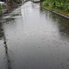 5/14 キラめく電波予報♪《タイミング》の画像