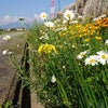 5/17 キラめく電波予報♪《視点を変える》の画像