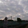 3/19 ともみんのキラめく電波予報の画像