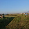 4/9 ともみんのきらめく電波予報♪の画像