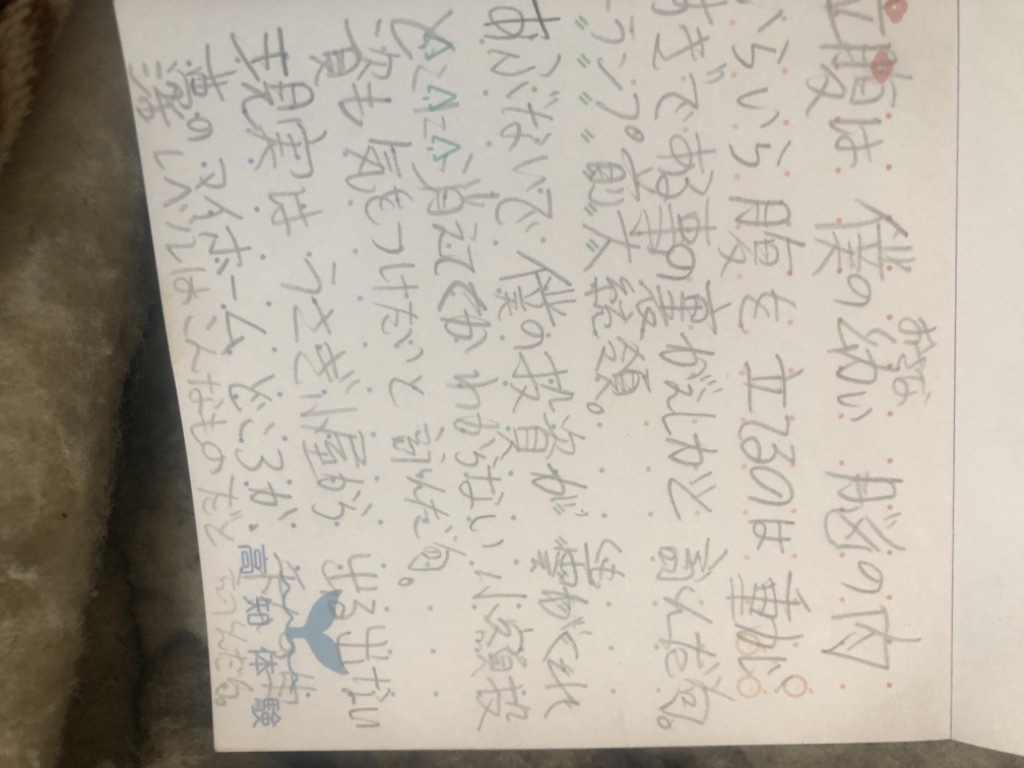 今日の3句。の画像