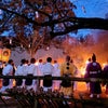 野上神社⛩️から山焼きを見学の画像