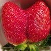 苺を美味しく食べて健康にの画像