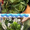 新鮮な大和野菜の「草鍋」の画像