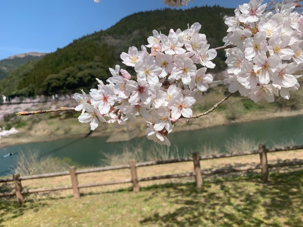 今日から春休みだけど…の画像
