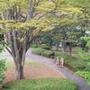 イライラはトゲトゲ。の画像