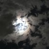 12月12日のこえの画像