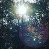 10月27日のこえの画像