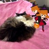 朝から元気ですの画像