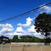 11月23日のこえの画像