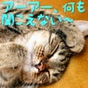 2月4日のこえの画像