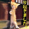 2月1日のこえの画像