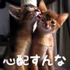 2月5日のこえの画像