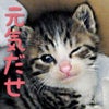 2月27日のこえの画像