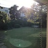 声で整体♬〜腹痛のわけの画像