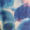 ８月８日のうたごえの画像